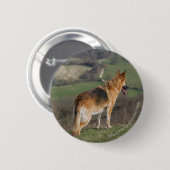 丘の下で見るドイツ語Shephard 缶バッジ (正面&裏面)