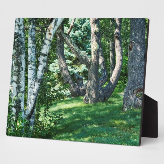 丘の中腹の木 フォトプラーク (側面)