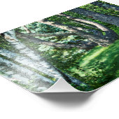 丘の中腹の木 フォトプリント            (角)