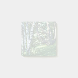 丘の中腹の木 ポストイット