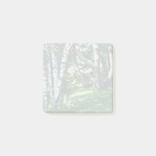 丘の中腹の木 ポストイット (正面)