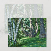 丘の中腹の木 ポストカード (正面/裏面)