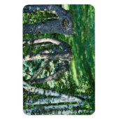 丘の中腹の木 マグネット (縦)