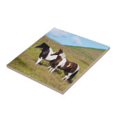 丘の中腹の馬 タイル (側面)