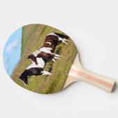 丘の中腹の馬 卓球ラケット (横)