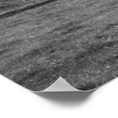 丘の中腹の黒と白の牛16x20 ポスター (角)