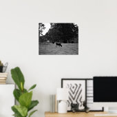 丘の中腹の黒と白の牛16x20 ポスター (ホームオフィス)