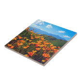 丘の中腹を覆うカリフォルニアのケシ タイル (側面)