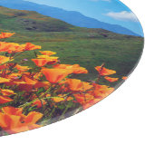 丘の中腹を覆うカリフォルニアケシ カッティングボード (角)