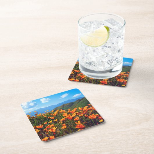 丘の中腹を覆うカリフォルニアケシ スクエアペーパーコースター (インサイチュ)