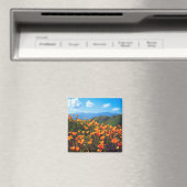 丘の中腹を覆うカリフォルニアポピー マグネット (インサイチュ (食洗機))