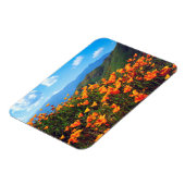 丘の中腹を覆うカリフォルニアポピー マグネット (左側)