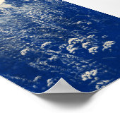 丘の中腹ワイルドフラワーインディゴブルーフラワーポスター ポスター (角)