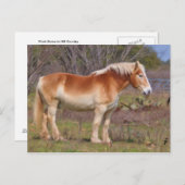 丘の国で馬を作る ポストカード (正面/裏面)