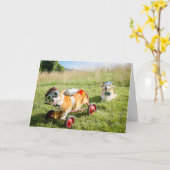 丘の誕生日カード上の科学者コーギス カード (黄色い花)