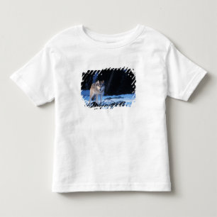 丘の麓の灰色のオオカミ、カニスループス トドラーTシャツ