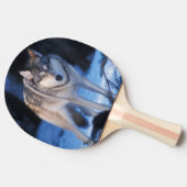丘の麓の灰色のオオカミ、カニスループス 卓球ラケット (横)