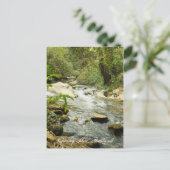 丘を流れる ポストカード (スタンド正面)