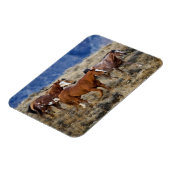 丘陵を駆ける馬 マグネット (左側)