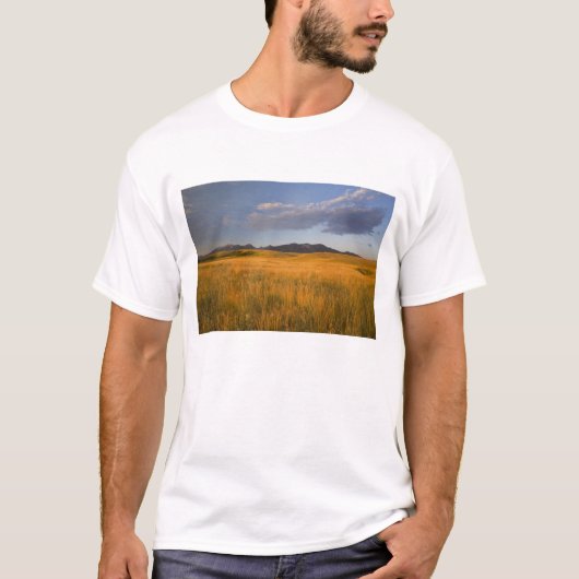 丘陵地の草原 Tシャツ (正面)