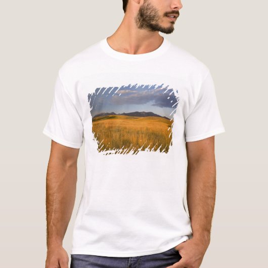 丘陵地の草原 Tシャツ (正面)