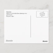 両側はがき ポストカード (裏面)