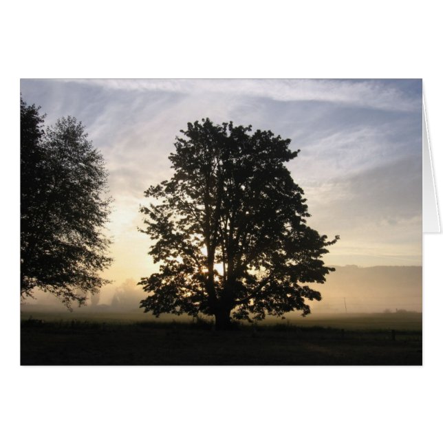 両側カードを見ること (正面横)