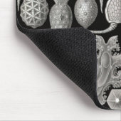 「両性動物(Amphoridea)」 マウスパッド (コーナー)