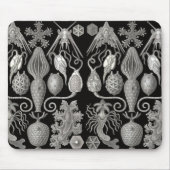 「両性動物(Amphoridea)」 マウスパッド (正面)