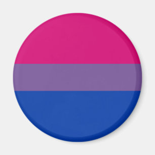 両性LGBTのプライドの虹の旗 マグネット