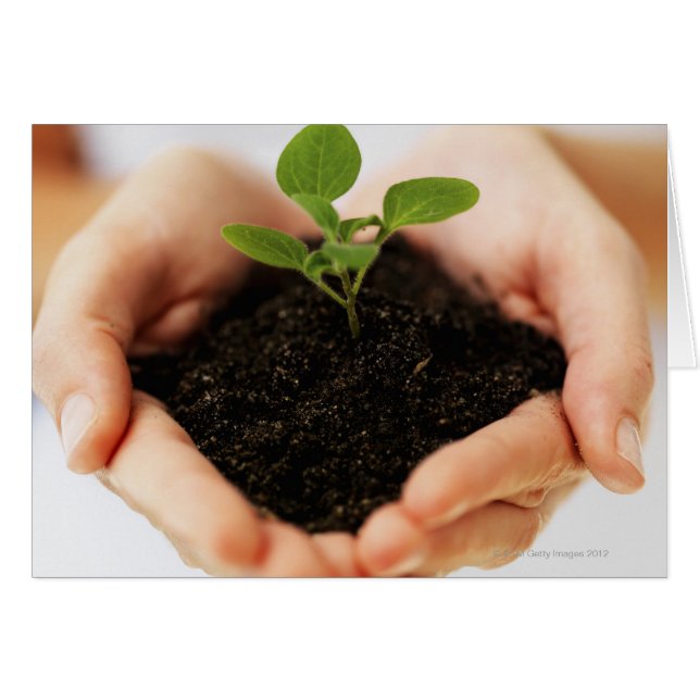 両手がサプリングを持つ (正面横)