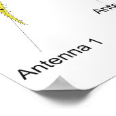 両手脚類の体計画の図 ポスター (角)