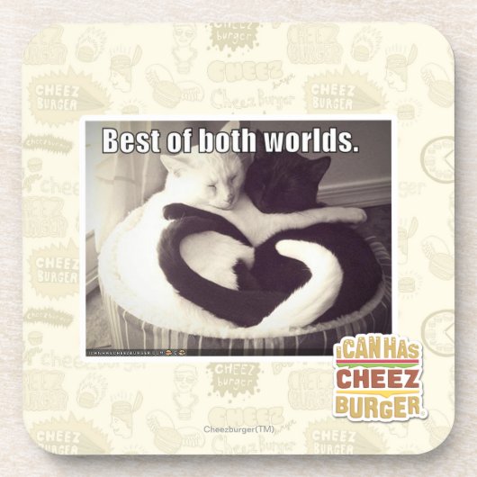 両方の世界のベスト コースター (正面)