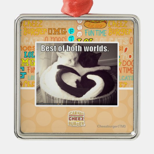 両方の世界のベスト メタルオーナメント (正面)