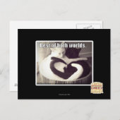 両方の世界の良いとこ取り。 ポストカード (正面/裏面)