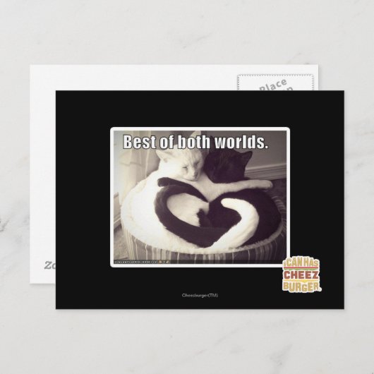 両方の世界の良いとこ取り。 ポストカード (正面/裏面)