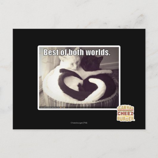 両方の世界の良いとこ取り。 ポストカード (正面)