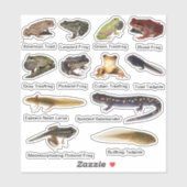 両生類のビニールシールの組み合わせ シール (シート)