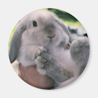 両足 マグネット