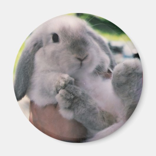 両足 マグネット (正面)