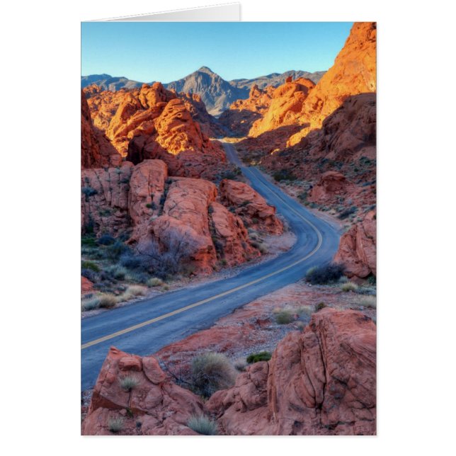 両車線の素晴らしさ (正面)