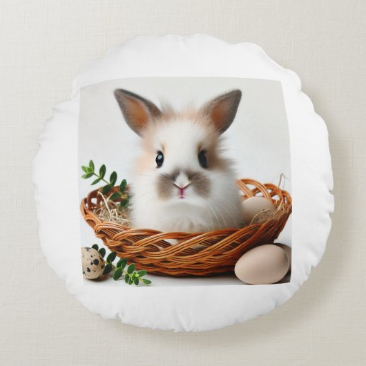 両面かわいいバニー枕 ラウンドクッション (正面)