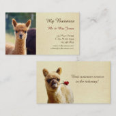 両面アルパカのペットの世話の名刺 名刺 (正面/裏面)