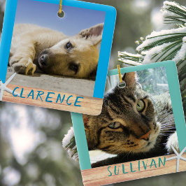 両面ペット写真スターフィッシュセラミックオルナメント セラミックオーナメント