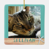 両面ペット写真スターフィッシュセラミックオルナメント セラミックオーナメント (裏面)