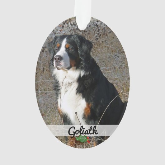 両面ペット写真名アクリルオーナメント オーナメント (裏面)