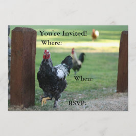 両面招待状、ルースター 招待状