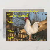 両面招待状、ルースター 招待状 (正面/裏面)