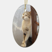 両面猫のオーナメント セラミックオーナメント (左)