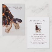 両面Herpetologist 名刺 (正面/裏面)